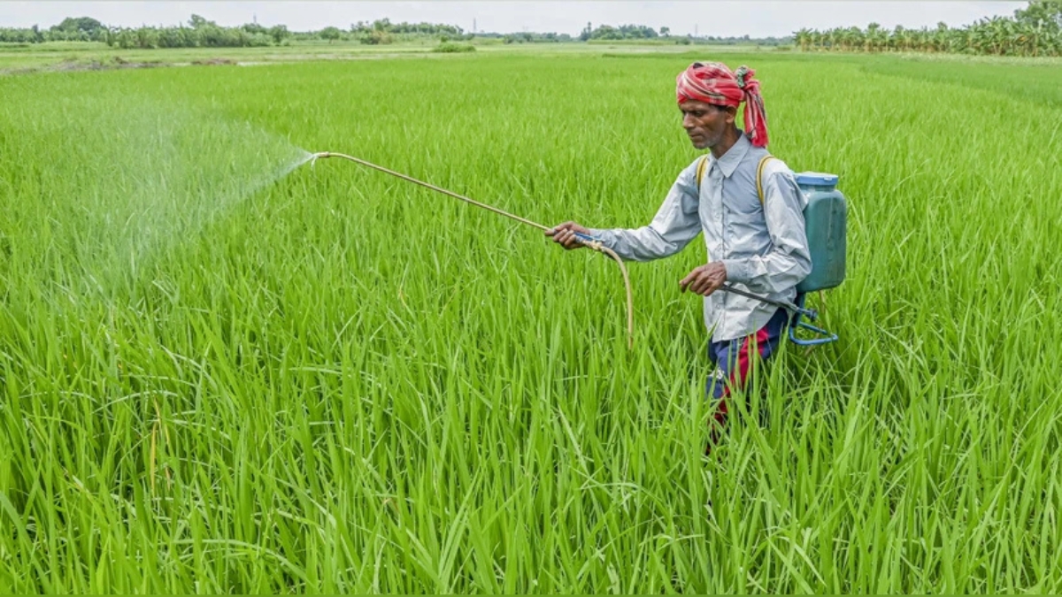 PM Fasal Bima Yojana 2025: फसल के नुकसान पर मिलेगा मुआवज़ा, जानिए कैसे करें आवेदन
