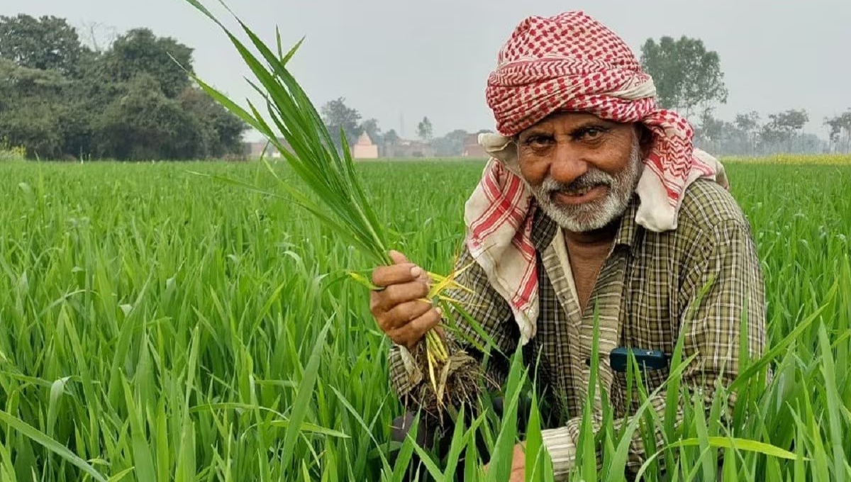 किसानों को मिलेगा ₹2000 का तोहफा जानिए PM Kisan Yojana 20वीं किस्त की ताजा अपडेट और फायदे
