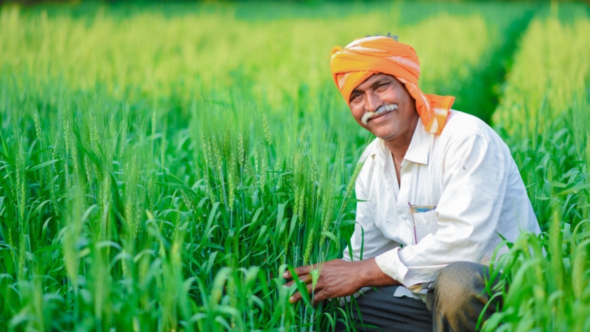 Kisan Yojana 2025: किसानों की बल्ले-बल्ले जल्द आएगी 12वीं किस्त, हर साल मिलेंगे ₹12,500