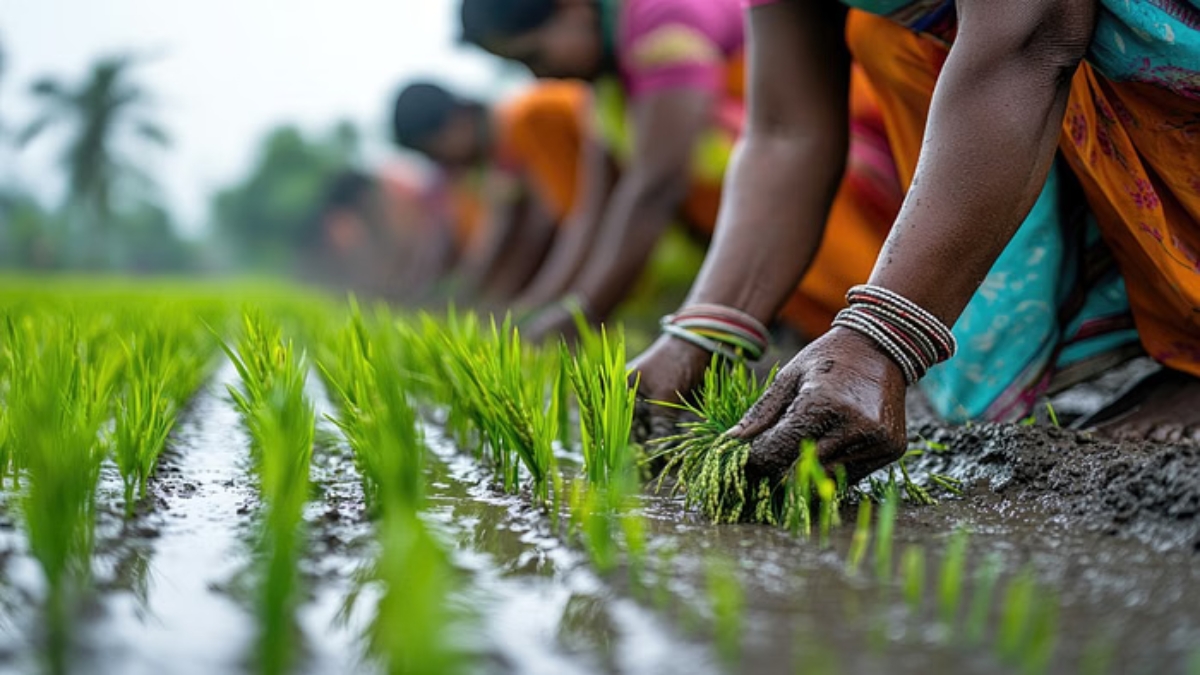 PM Kisan Yojana Ki 20 Kist Kab Aayegi: किसानों के चेहरे पर फिर लौटेगी मुस्कान, जानें कब आएगी अगली किस्त और कैसे करें आवेदन