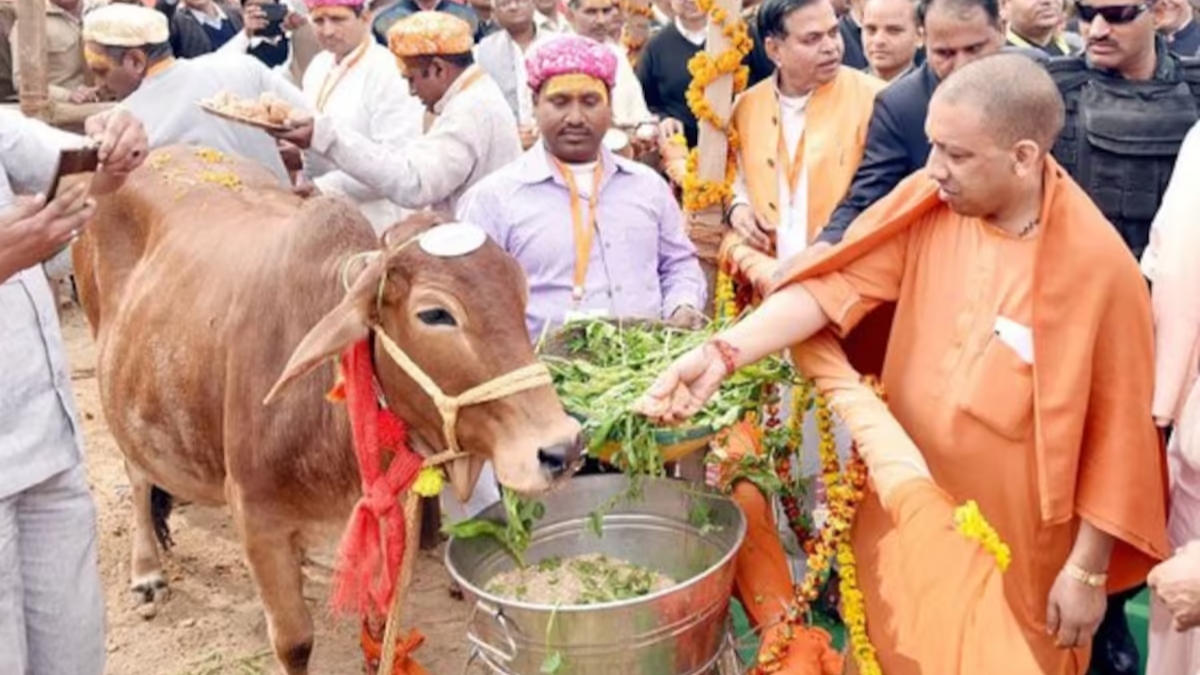 UP Yojana: गांव में रहकर कमाएं लाखों, अब गाय पालन से खुलेगा आमदनी का रास्ता